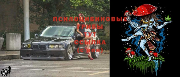 герыч Бородино