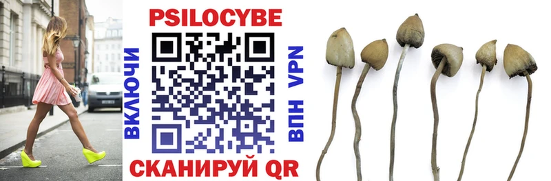 Галлюциногенные грибы мицелий  shop официальный сайт  Северск 
